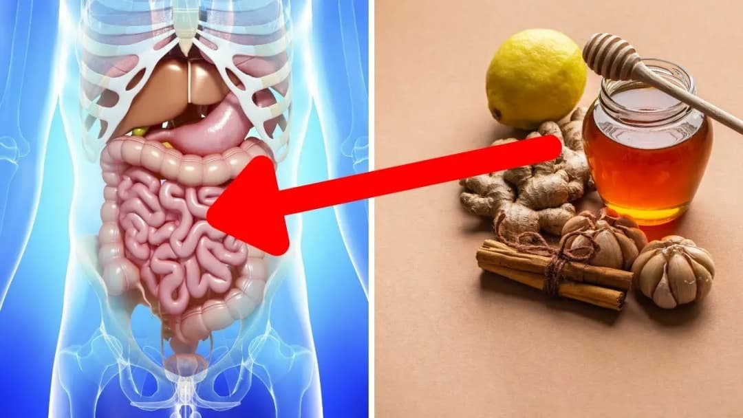 Przepisy na zdrowe jelita, które poprawią twoje trawienie i samopoczucie