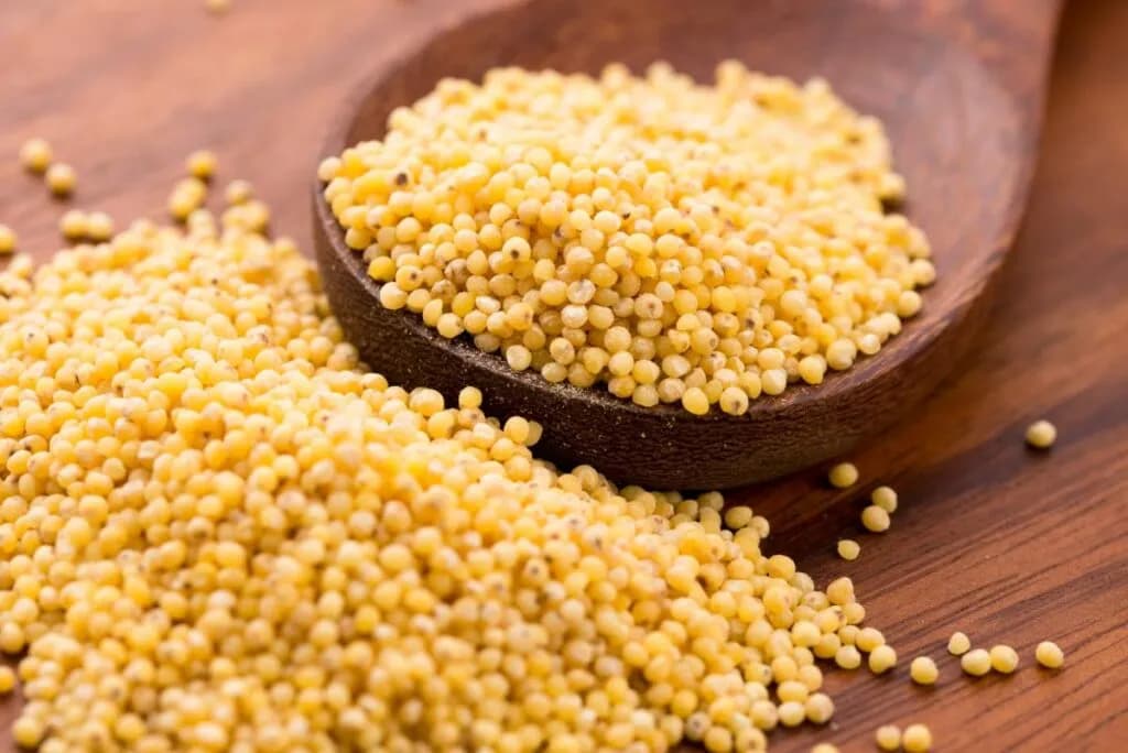 Czy kasza jaglana jest dietetyczna? Odkryj jej zdrowotne korzyści