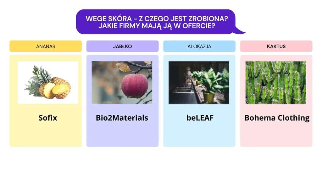 Skóra wegańska – co to jest i dlaczego warto ją znać?